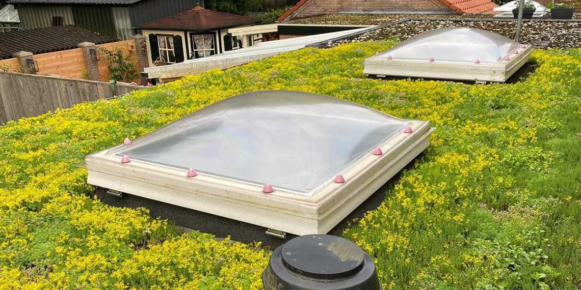 Voordelen van groene daken
