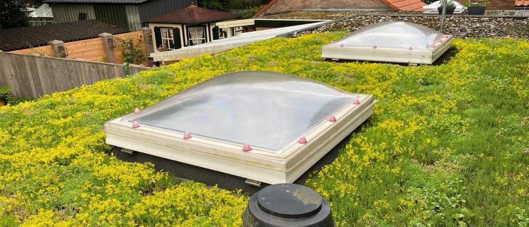 Voordelen van groene daken
