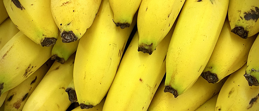 bananen-in-de-natuur